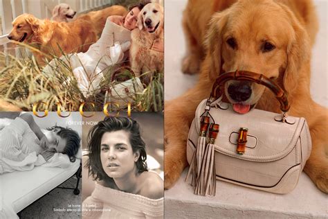 borsa gucci verde campagna pubblicitaria